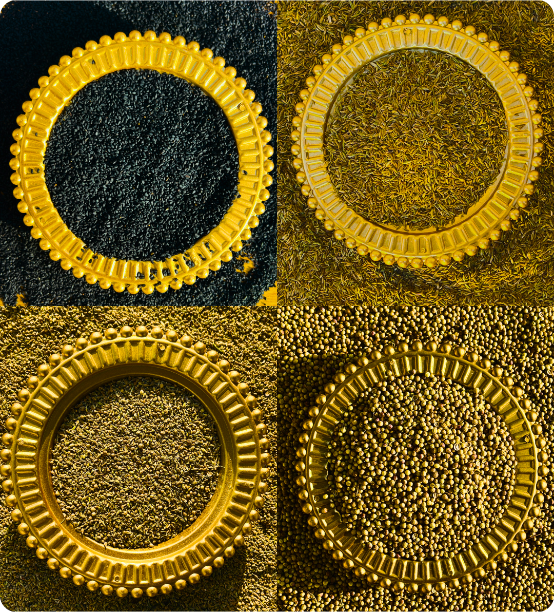 Collage mit Schwarzkümmel, Anis, Kümmel und Koriander