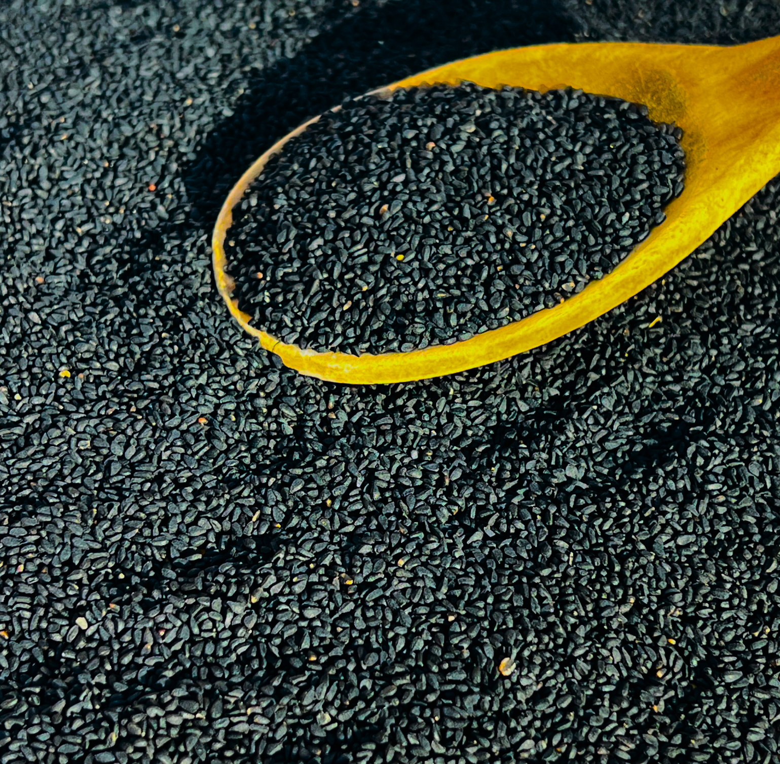 Schwarzkümmel Gewürz